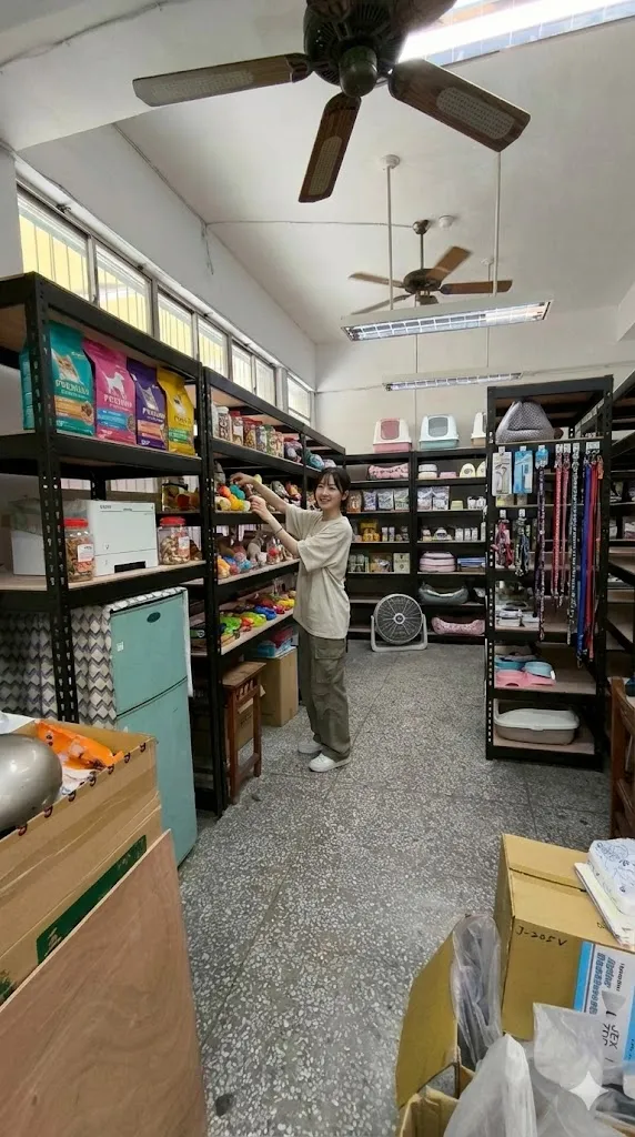 AI 優化情境示意：店面商品長排貨架，沿牆貨架展示日常商品，依品類分區並保留店內通行空間。